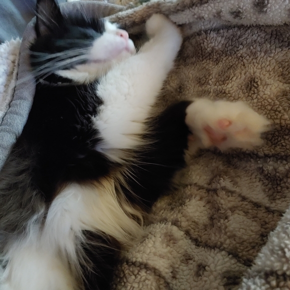 Lazy TV day๐๐บ ๐ - Picture 9 of 16